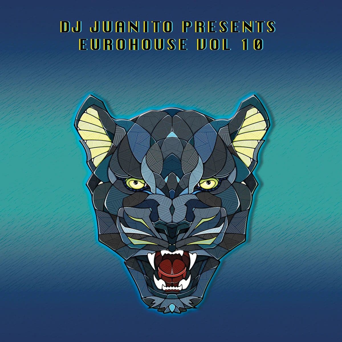 DJ Juanito Presents Euro House Vol 10 (Vinilo Nuevo) (formato europeo sin sellado plastico) - Miniatura 1 en LEMM DJ Store