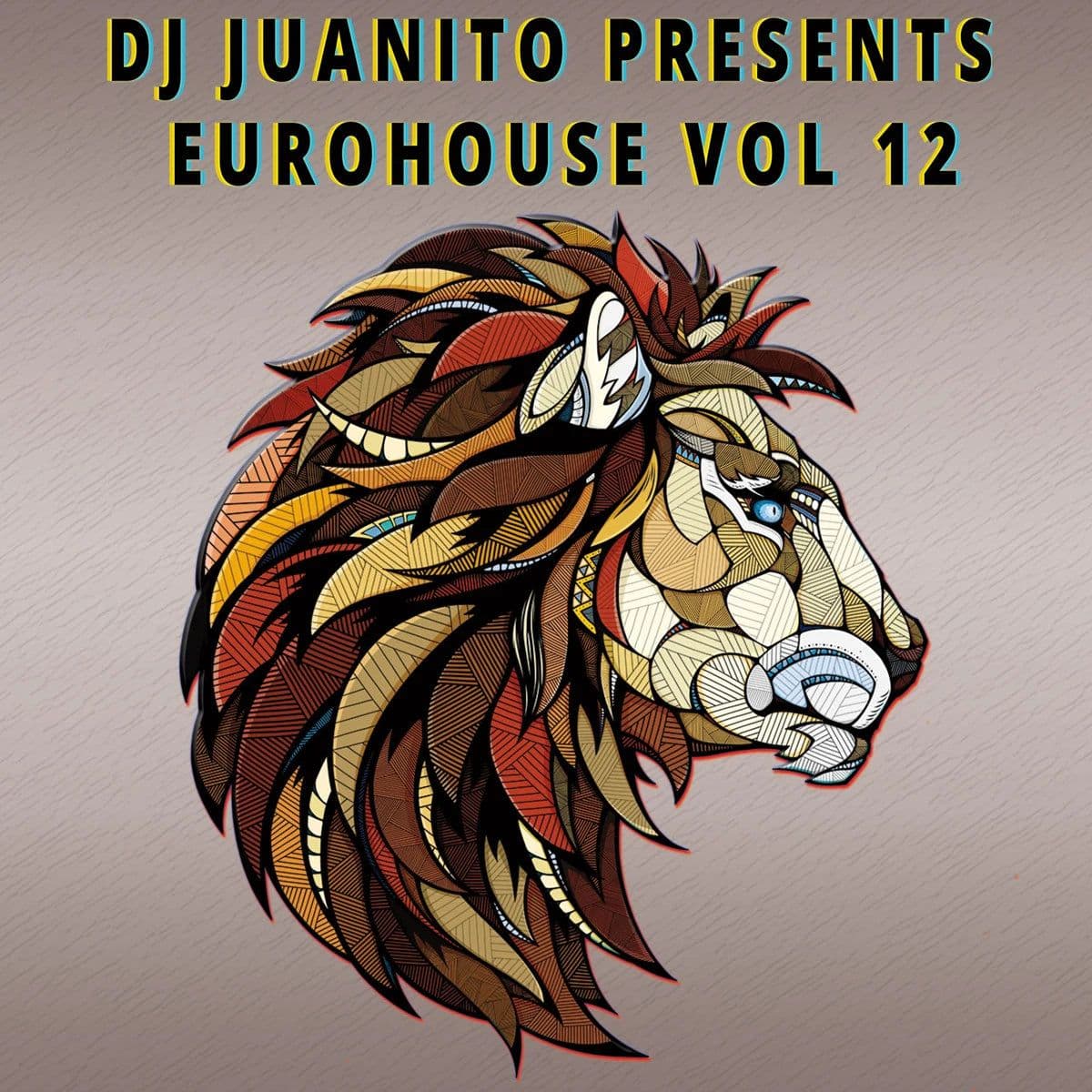 Dj Juanito Presents Euro House Vol 12 (Vinilo Nuevo) (formato europeo sin sellado plastico) - Miniatura 1 en LEMM DJ Store