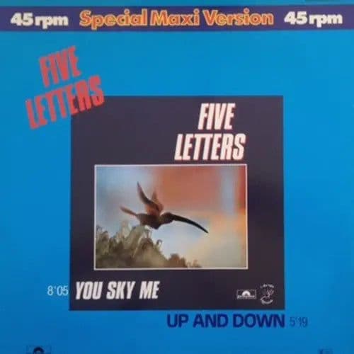 Five Letters – You Sky Me / Up And Down (Vinilo usado) VG+ BOX 4 - Miniatura 1 en LEMM DJ Store