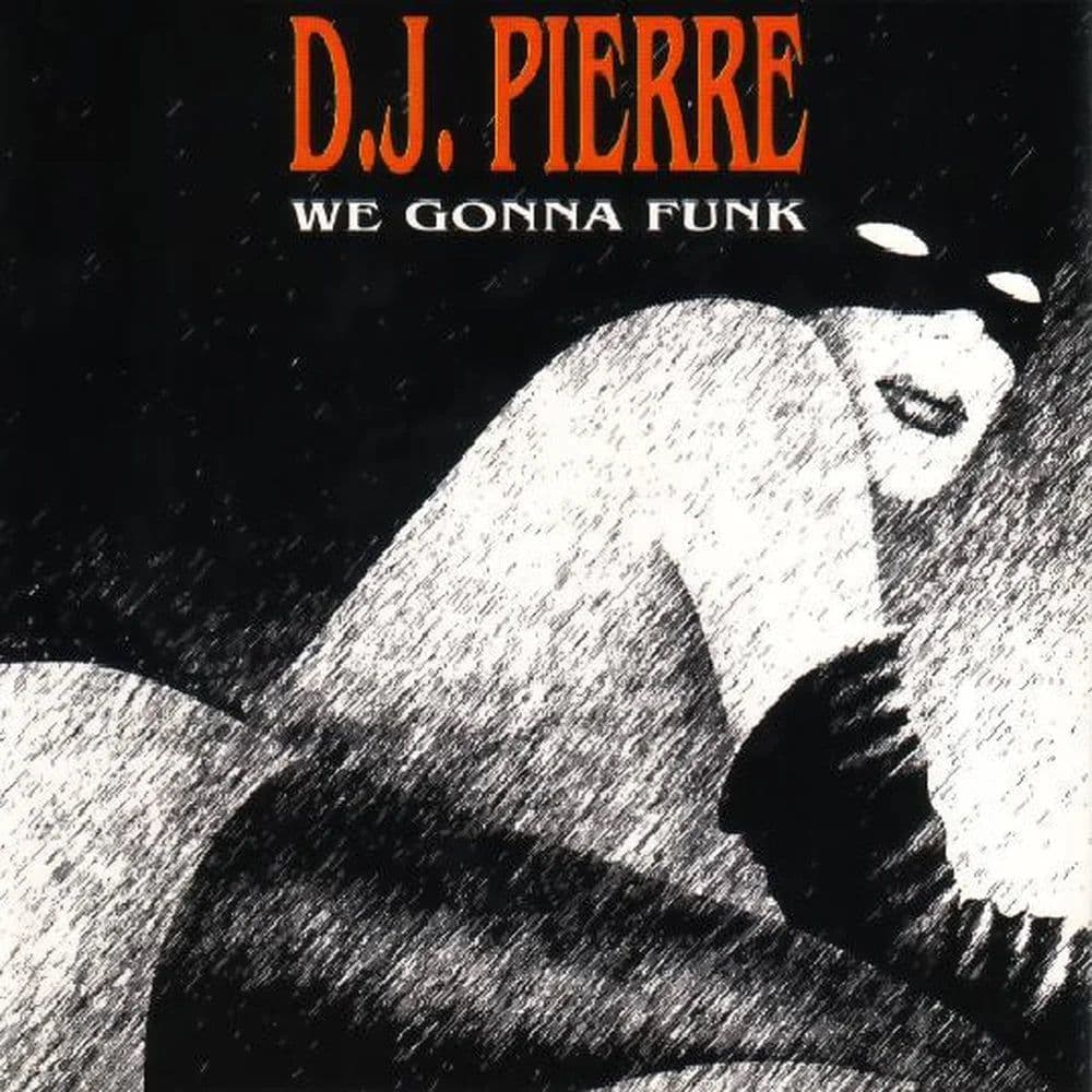 D.J. Pierre - We Gonna Funk (12") (Vinilo usado VG+)