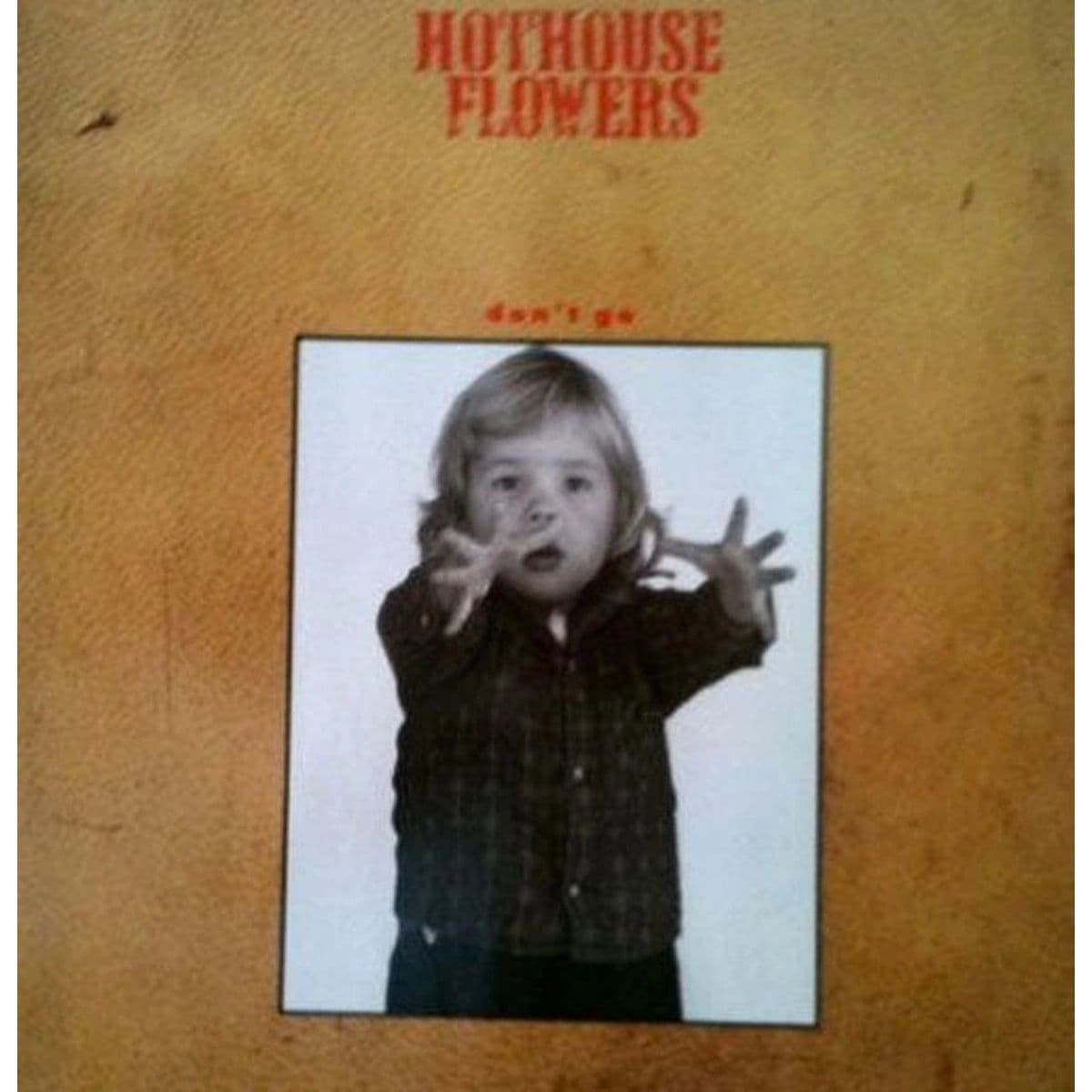 Hothouse Flowers – Don't Go (Vinilo usado) (VG+)