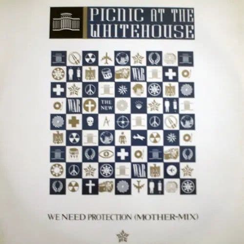 Picnic At The Whitehouse – We Need Protection (Mother Mix) (Vinilo usado) VG+ BOX 4
